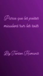 Image de Franck Pélaia pour la 2e scène du chat noir