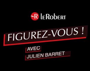 Figurez-vous par Julien Barret sur Le blog du Robert